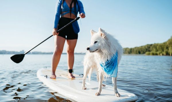 Excellence in Pet Nutrition