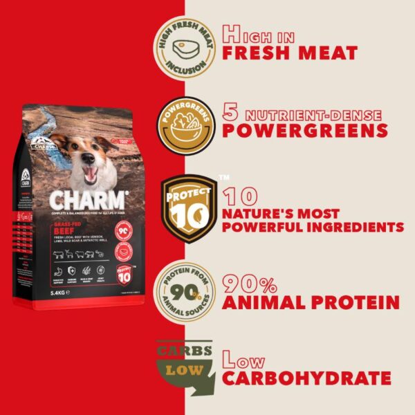CHARM® Grass-Fed Beef Dog Food packaging with key benefits highlighted, including high fresh meat content, nutrient-dense powergreens, Protect 10 ingredients, 90% animal protein, and low carbohydrates—promoting sustainability, freshness, and optimal dog nutrition.