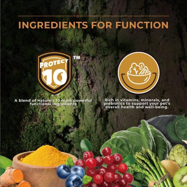 CHARM® Pet Food’s Protect 10 formula, featuring nature’s most powerful functional ingredients like turmeric, blueberries, spinach, and cranberries, designed to support pet health with essential vitamins, minerals, and prebiotics.