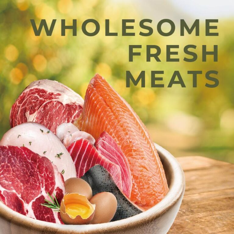 wholesome-fresh-meats-dog-food.png A bowl filled with fresh beef, salmon, eggs, and other high-quality meats, representing the premium ingredients used in CHARM® Pet Food’s beef recipes for optimal dog nutrition and health.