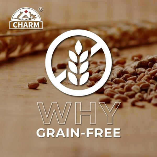 CHARM® Pet Food’s grain-free formula benefits, highlighting easier digestion, fewer allergens, and nutrient-rich ingredients for dogs with dietary sensitivities.