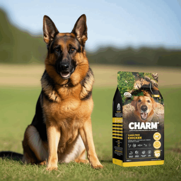 A healthy German Shepherd sitting calmly next to a prominently displayed bag of CHARM® Pet Food's products, emphasizing brand transparency, high-quality ingredients, and trust in premium German Shepherd nutrition.