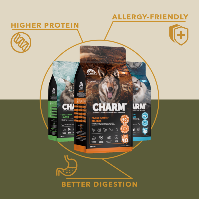 Natural Allergy-Friendly Ingredients for French Bulldog Diets A top-down view of allergy-friendly ingredients like lamb, duck, berries, mushrooms, and kiwifruit arranged cleanly to promote healthy digestion for dogs.