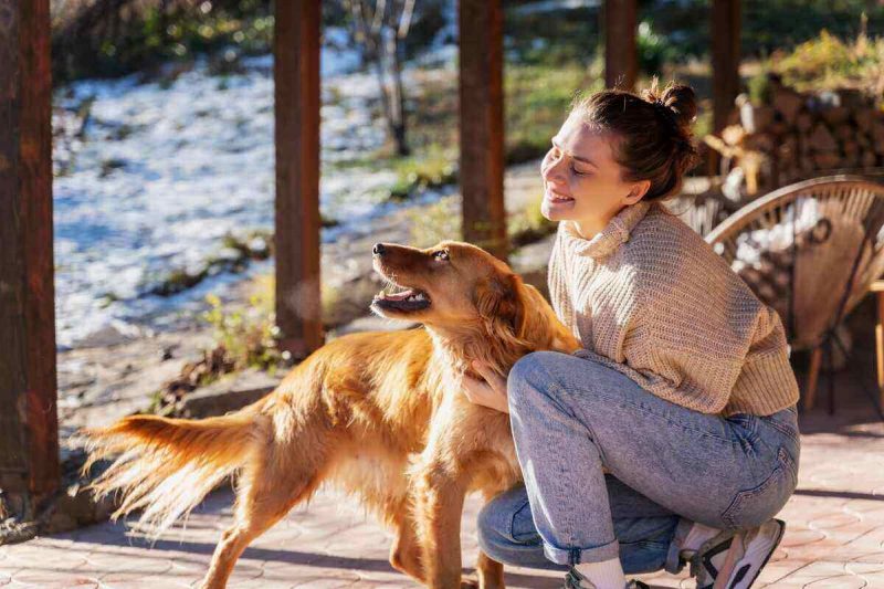 Young,Adult,Happy,Woman,Playing,With,Her,Retriever,Dog,On A happy young woman petting her golden retriever on a sunny porch, symbolizing the joy of a healthy diet with CHARM® Pet Food’s beef-flavored dry food.