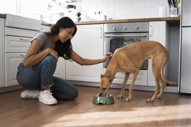 A woman in her kitchen prepares nutritious homemade dog food for her pet, promoting a healthy diet based on lean protein and essential nutrients